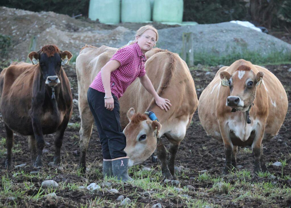 Georgia Guy checks out the dry cows.